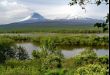 Американские туристы чаще ездят в Приморье, чем на Камчатку