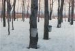 � ������ ���������� ����� ����� ��������� ����